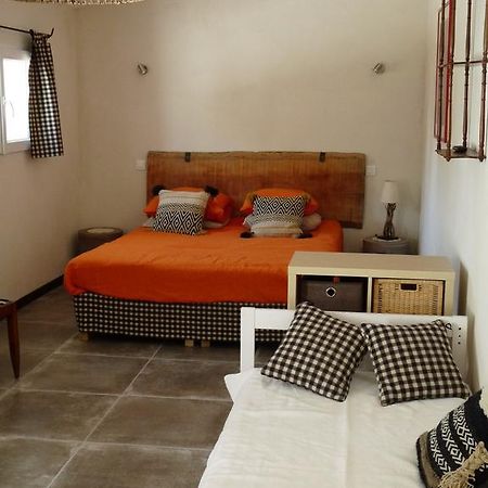 Albaron Bergerie D'Alivon En Camargue B&B 외부 사진