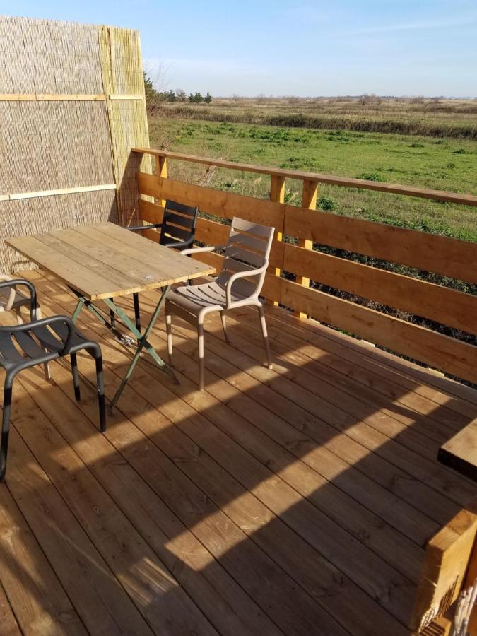 Albaron Bergerie D'Alivon En Camargue B&B 외부 사진