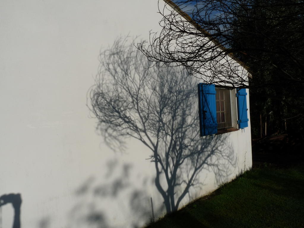 Albaron Bergerie D'Alivon En Camargue B&B 외부 사진