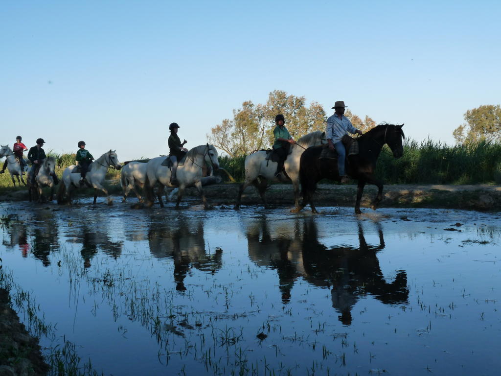 Albaron Bergerie D'Alivon En Camargue B&B 외부 사진