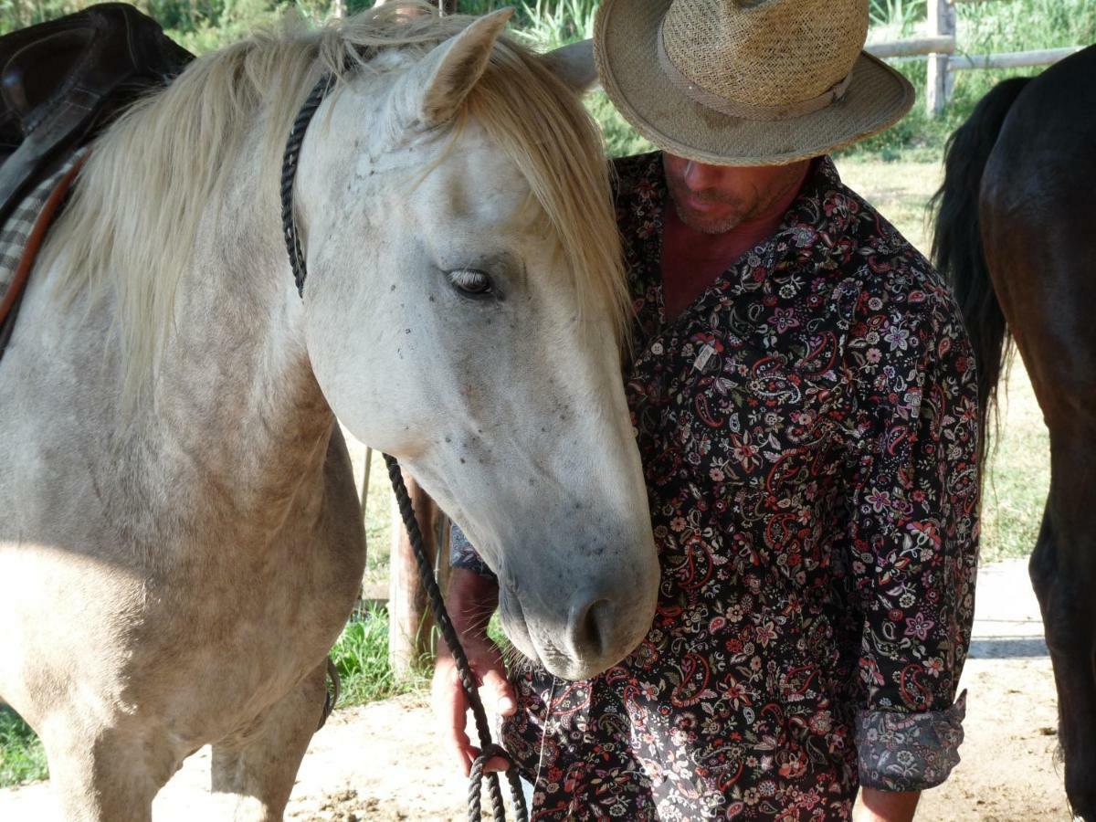 Albaron Bergerie D'Alivon En Camargue B&B 외부 사진